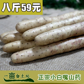 推荐最新40亩等于多少平方米 40亩等于多少平