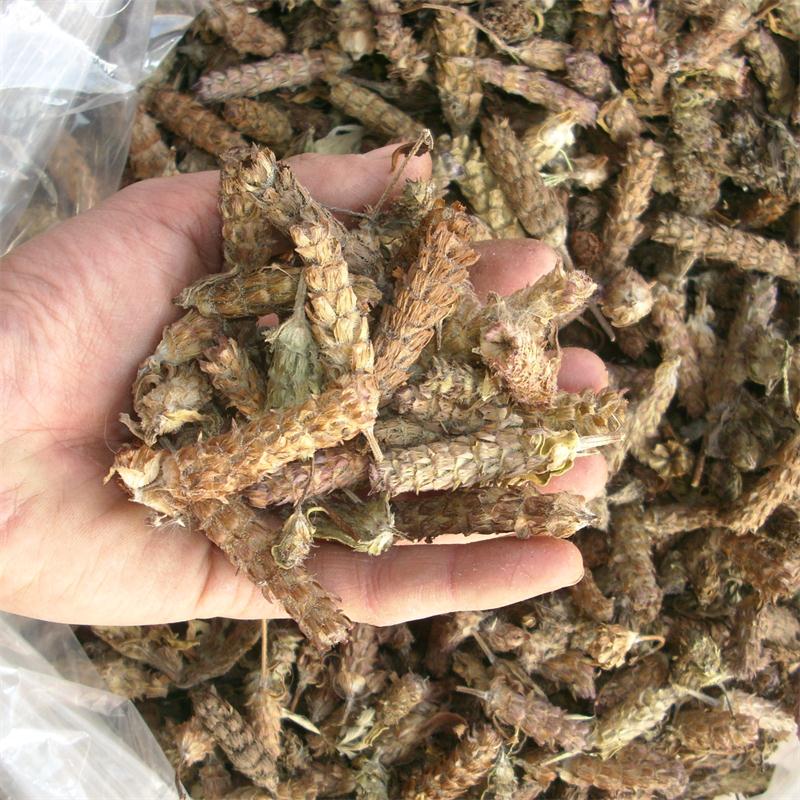 夏枯球 野生夏枯草 无枝干全花朵凉茶原料消暑去火中药材批发500g