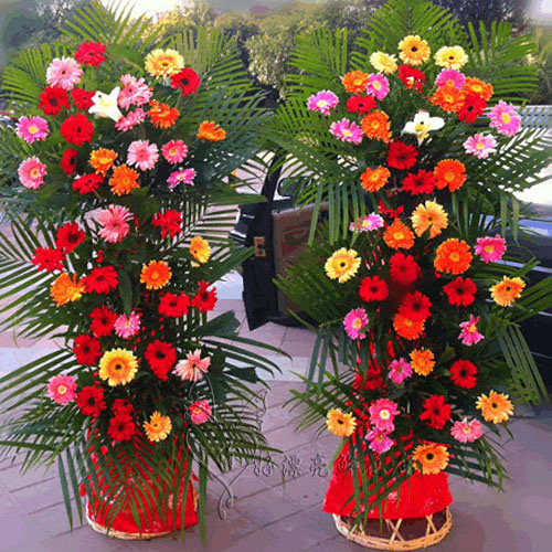 推荐最新武昌宏基汽车站 武昌宏基汽车站官网