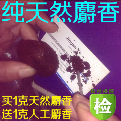 中药材正品正宗西藏麝香粉当门子诱饵钓鱼质量保证1克包邮