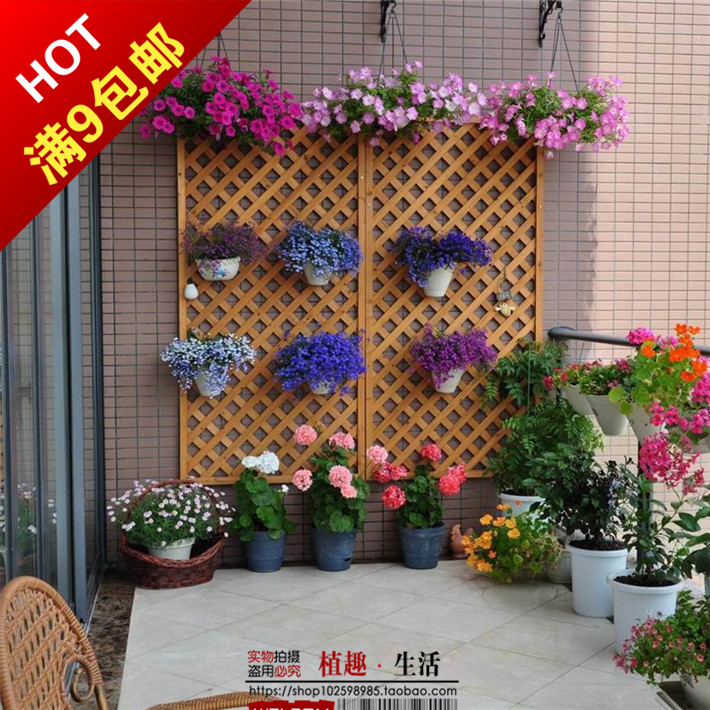 春播六倍利种子 盆栽垂吊半边莲 翠蝶花蓝色 阳台吊兰花籽包邮