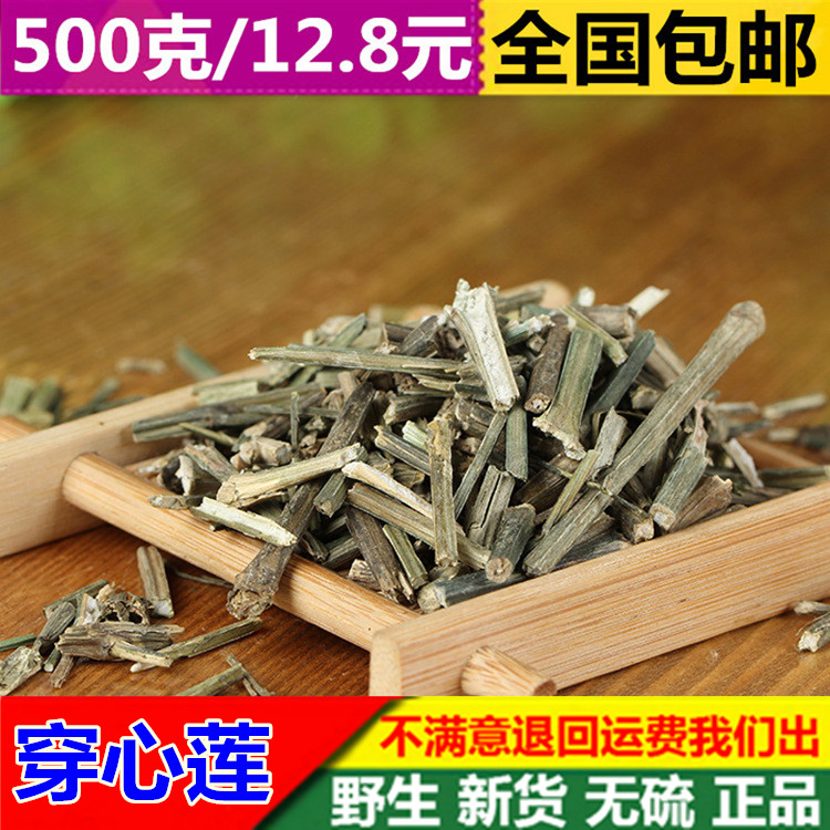 新货穿心连 中药材 野生穿心莲 野生 苦胆草 四方莲 500克包邮
