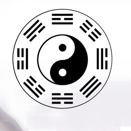 健身会所跆拳道道武术会馆太极八卦图公司布置贴纸装饰墙贴玻璃贴