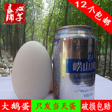 包邮 200克大鹅蛋农家散养新鲜鹅蛋去胎毒孕妇土鹅蛋笨鹅种蛋 150
