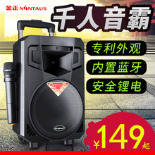 N993广场舞音响便携式户外音箱8寸拉杆移动蓝牙12带无线话筒 金正