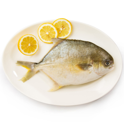 【天猫超市】金鲳鱼1条380g/条 鲳鱼鳊鱼 海鲜