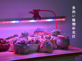 [植物生长补光led灯]评价 led植物生长灯价格怎