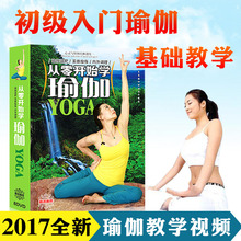正版瑜伽初级入门教学视频教程健身操瑜珈教材课程光盘DVD光碟片