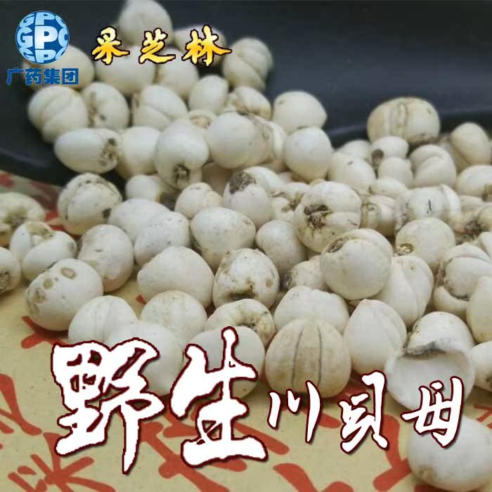 广药采芝林四川川贝母 优质小粒珍珠贝10g 包邮