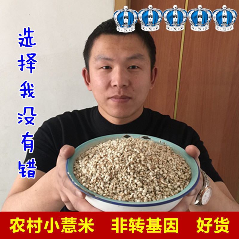 2016年小粒薏米 精选薏仁浦城农家优质薏仁米 仁薏米薏苡仁500克
