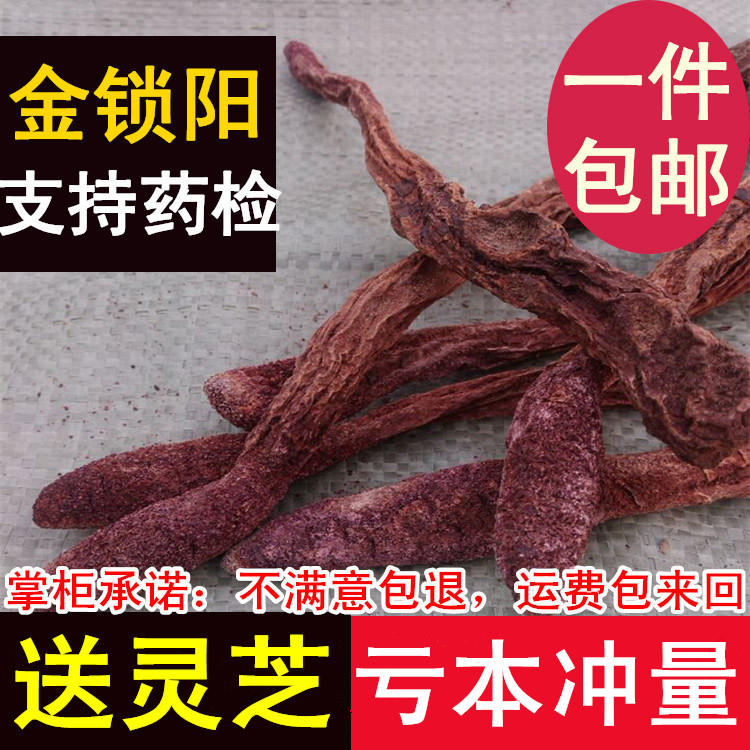 野生金锁阳锁阳个锁阳片泡茶泡酒料磨锁阳粉大漠双雄配肉苁蓉500g