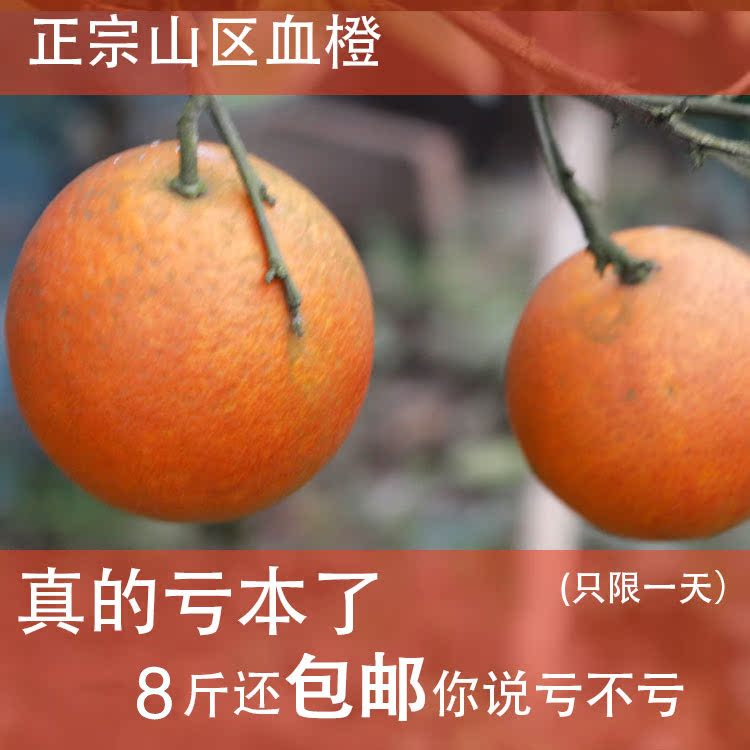 无公害血橙子农村自种血橙纯天然柑子脐橙红肉橙子8 斤装