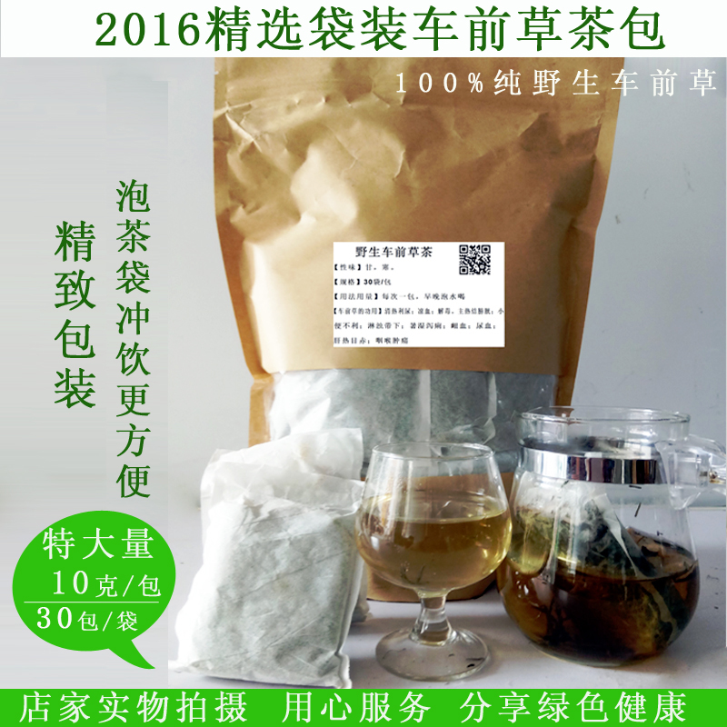 2016年秦岭野生车前草 30包/袋  整颗全草车前草茶包
