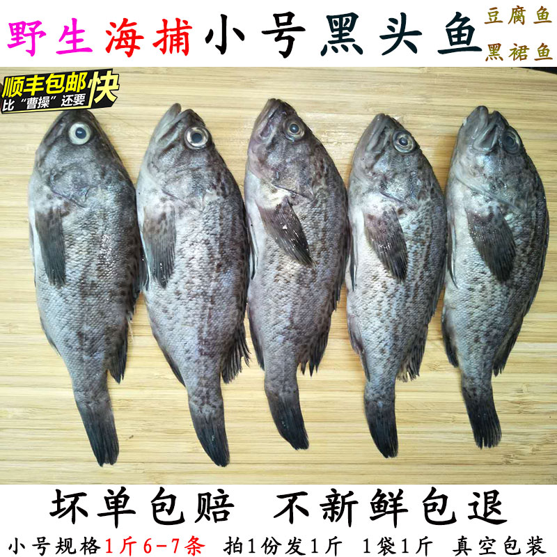 野生新鲜黑头鱼鲜活海鲜豆腐鱼花寨猪嘴黑裙鱼黑寨鱼免邮费1斤6条