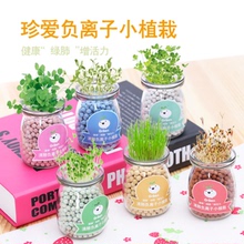 桌面迷你可爱小草微景观植物 水培盆栽创意办公室DIY负离子小盆景