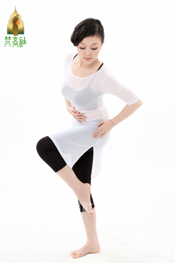 正品[肚皮舞 视频 叶静]叶静肚皮舞表演视频评测