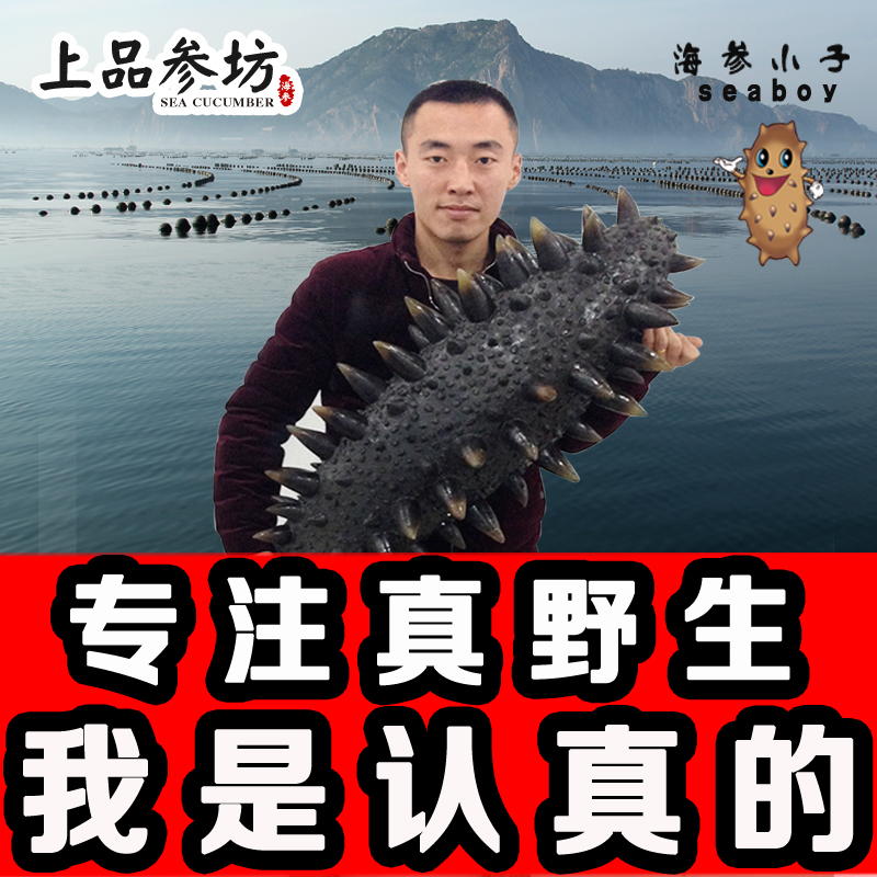 韩国西海底播野生淡干海参干货海渗孕妇辽参刺参礼盒包邮50g