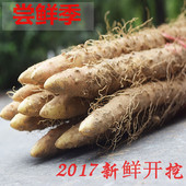 怀府人家河南特产温县农家铁杆淮山约实惠5斤焦作新鲜铁棍怀山药