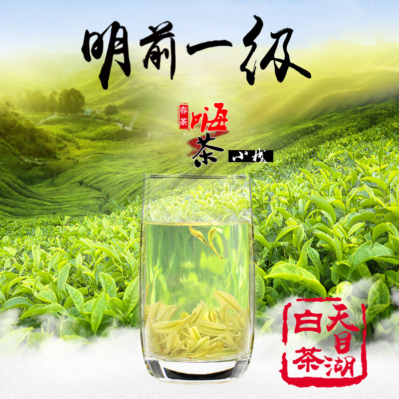 2016新茶春茶 明前一级溧阳天目湖白茶 明前珍稀有机茶叶50g包邮