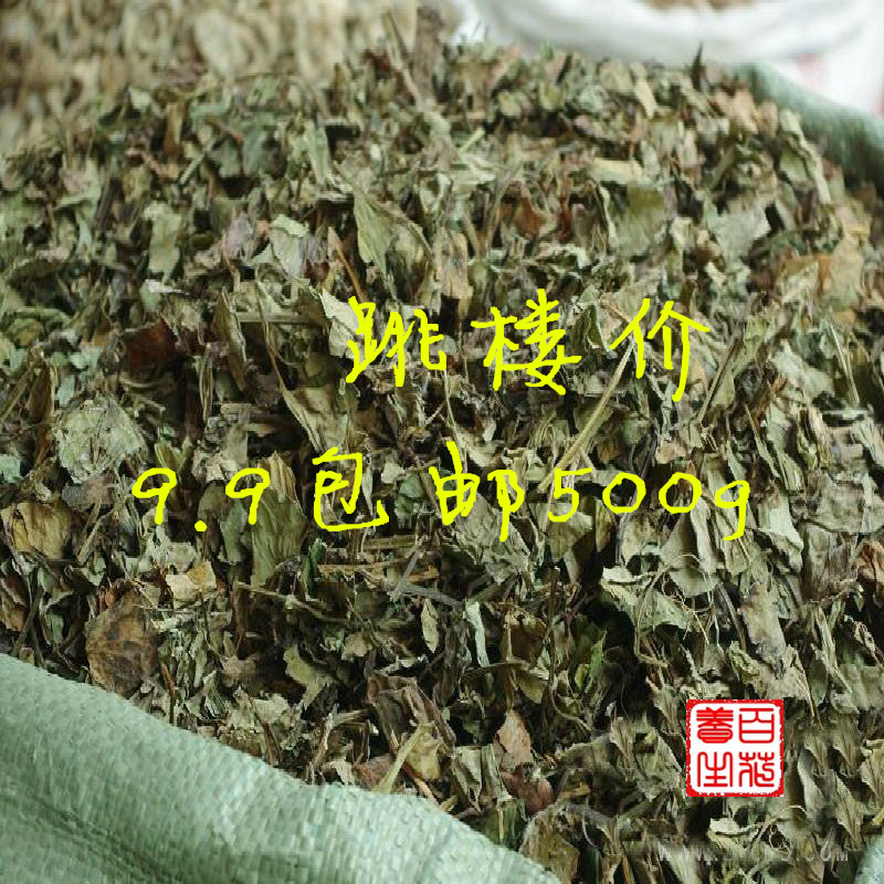 纯天然野生新货浙江省金华市散装正品鱼腥草干折耳根凉茶500g包邮