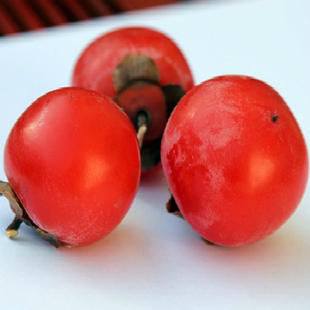 ͥԺС 꿪 ޽Ӻõ ʵС  