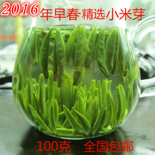 2016年新茶雀舌茶叶四川雀舌明前雪芽高山绿茶峨眉山绿茶特级包邮