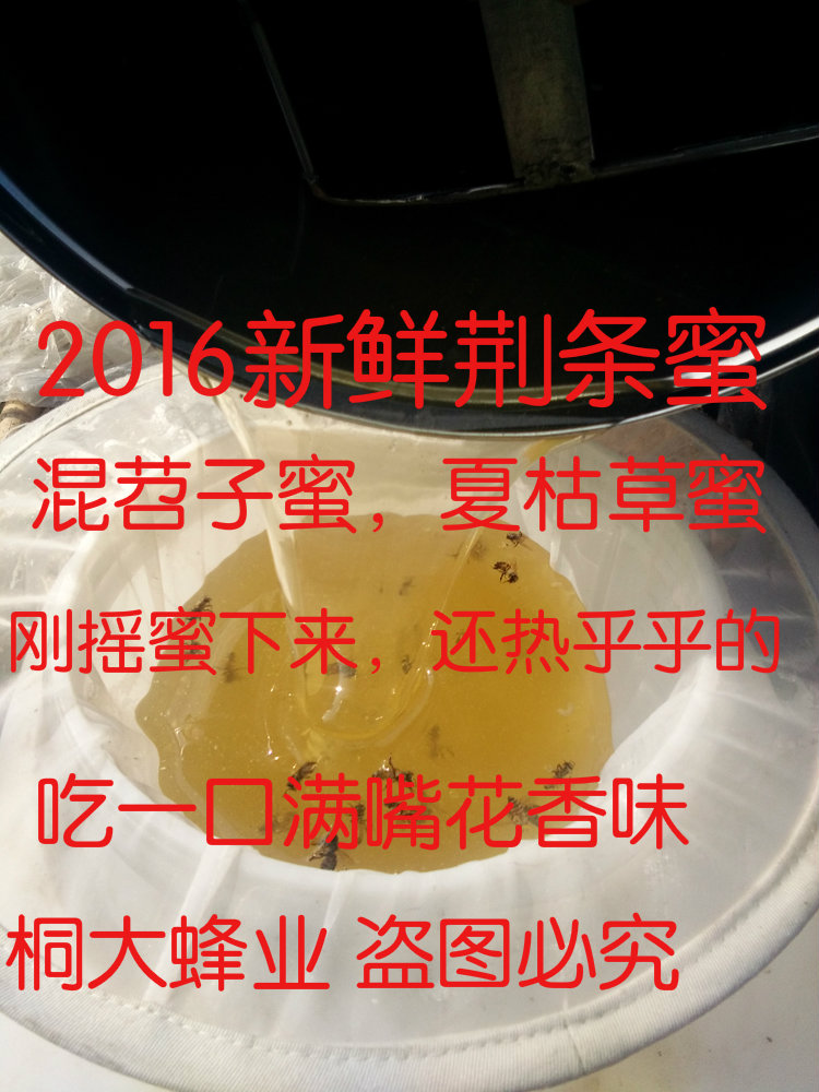 荆条蜜 纯天然500g百花蜜成熟原蜜混苕子夏枯草野葡萄蜜桐大蜂业