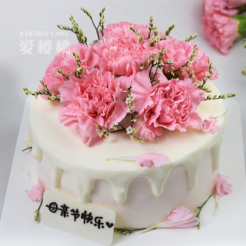 爱樱桃康乃馨鲜花蛋糕动物奶油蛋糕母亲节送妈妈礼物重庆同城配送
