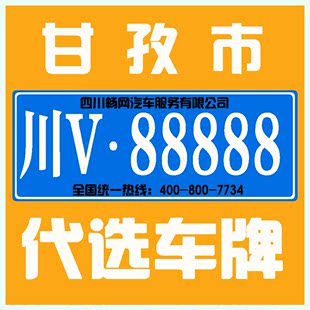 代选四川v甘孜车牌号靓号吉祥号汽车号牌新车上牌驾驶证换证补证