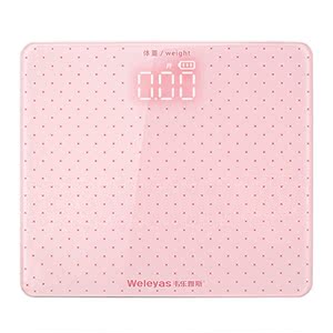 韦乐雅斯电子称