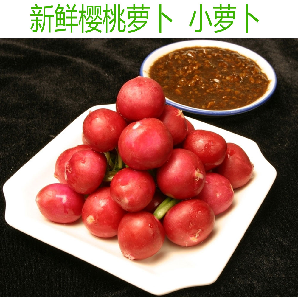 新鲜蔬菜 樱桃萝卜 萝卜水果 500g/份 raphanus 沙拉配菜 小萝卜