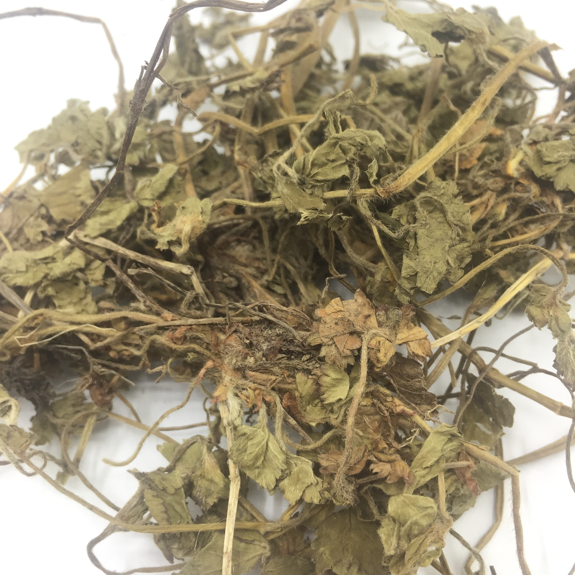 蛇莓 蛇果草 盘草 倒地梅 龙吐珠 宝珠草 三匹风 三叶莓 地杨梅