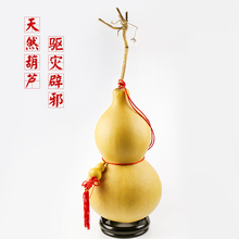 50厘米 辟邪镇宅大葫芦摆件 免邮 风水葫芦挂件10 天然特大葫芦