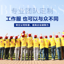 定制t恤团队工作服企业宣传文化衫 工衣印字图 男女空白翻领广告衫