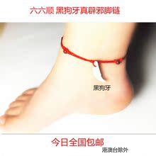 学生简约红绳脚链饰品 大人成人本命年辟邪转运防小人黑狗牙男女款