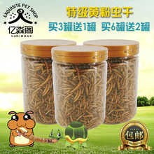 面包虫干黄粉虫仓鼠粮食仓鼠用品金丝熊零食刺猬鱼鸟饲料龟粮主粮