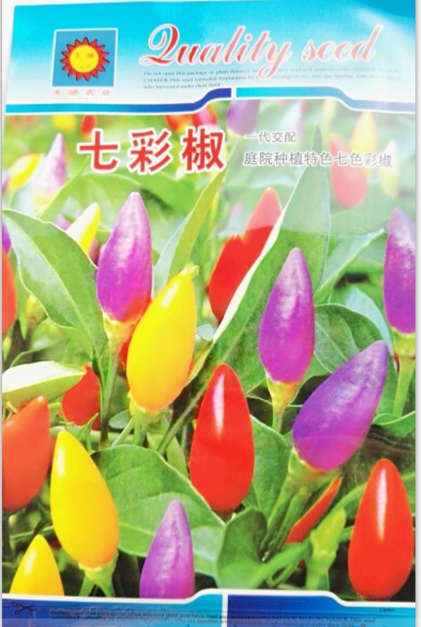蔬菜种子观赏椒辣椒种子七彩椒种子五彩椒种子朝天椒种子约50粒