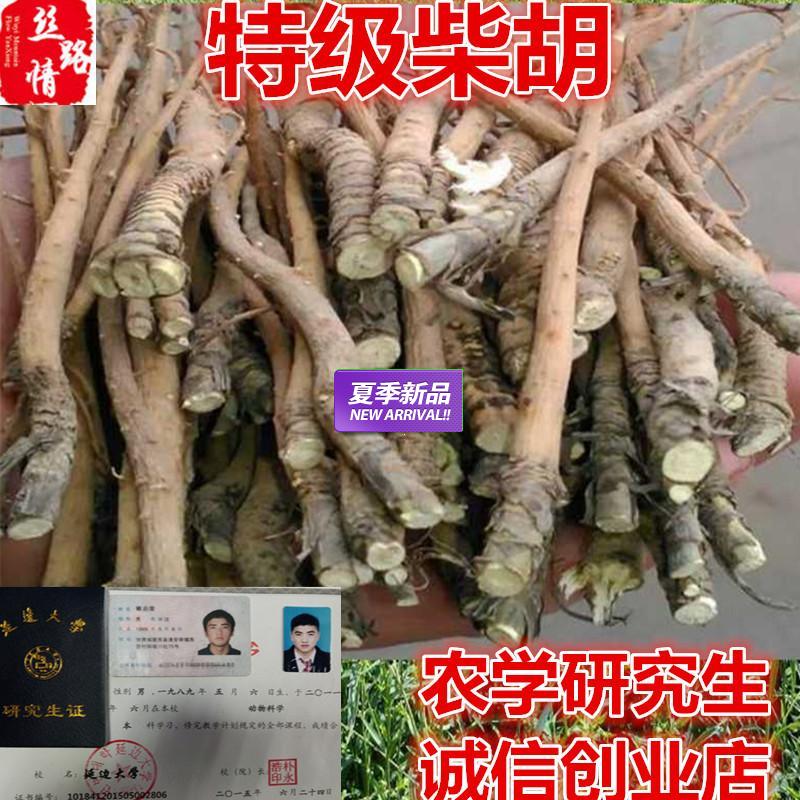 精选野生柴胡北柴胡头柴胡根甘肃野生柴胡大红柴胡 柴胡250g包邮