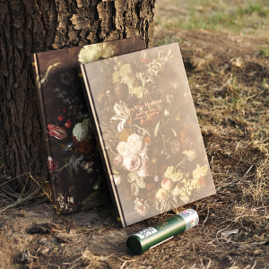 古典画师8K速写本