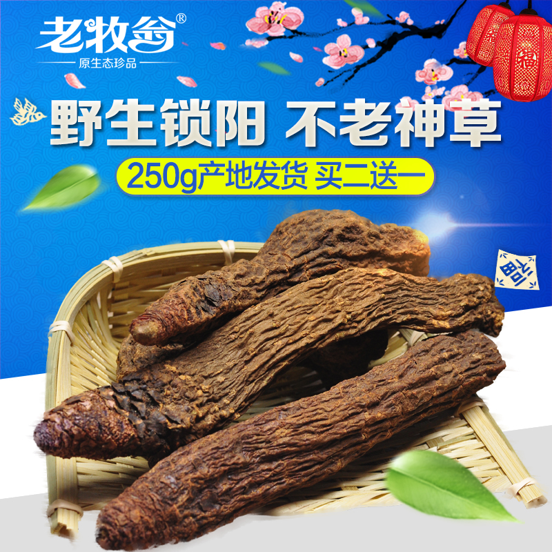 阿拉善沙漠纯野生金锁阳块泡酒材料250g泡水滋补买2送1全国包邮