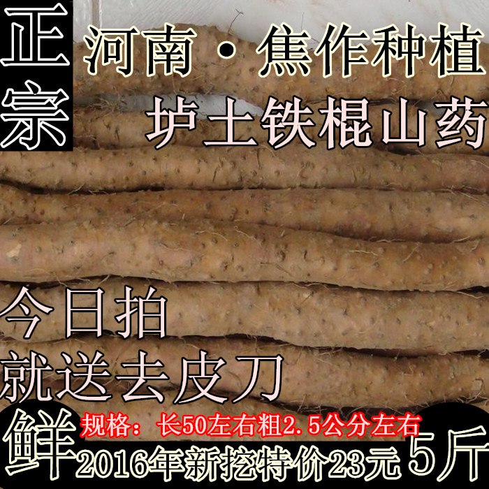 河南焦作温县垆土山药 铁棍山药 新鲜怀淮山药铁杆山药 净重5斤