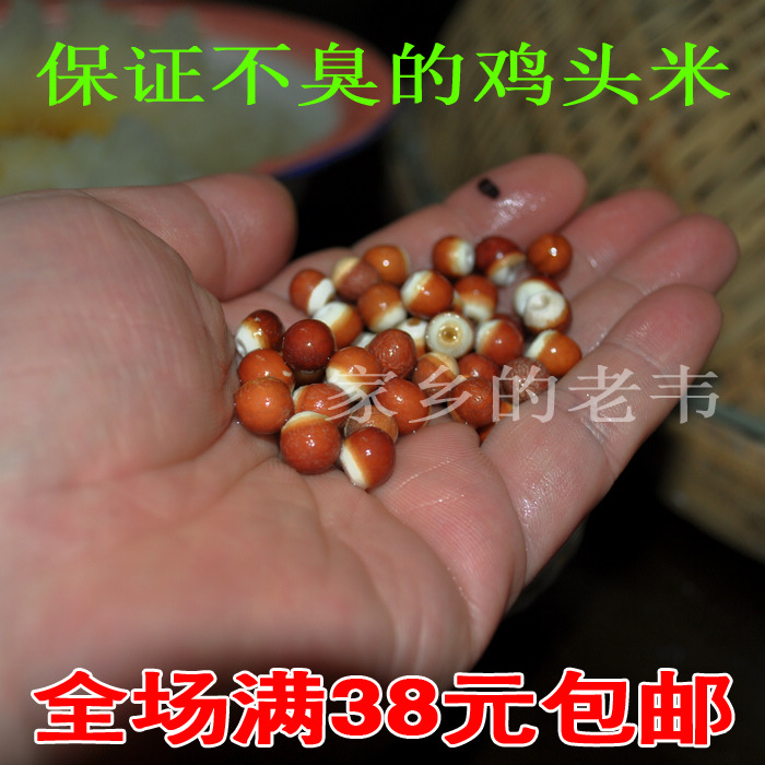 大个野生鸡头米  带皮的农家红芡实 难寻品质~没有臭味！200g