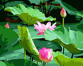 [手绘油画荷花-数字]评价 油画荷花画法怎么样