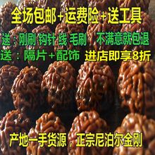 手串108按斤 尼泊尔大金刚菩提子通货4四5五6六瓣散珠原籽批發男士