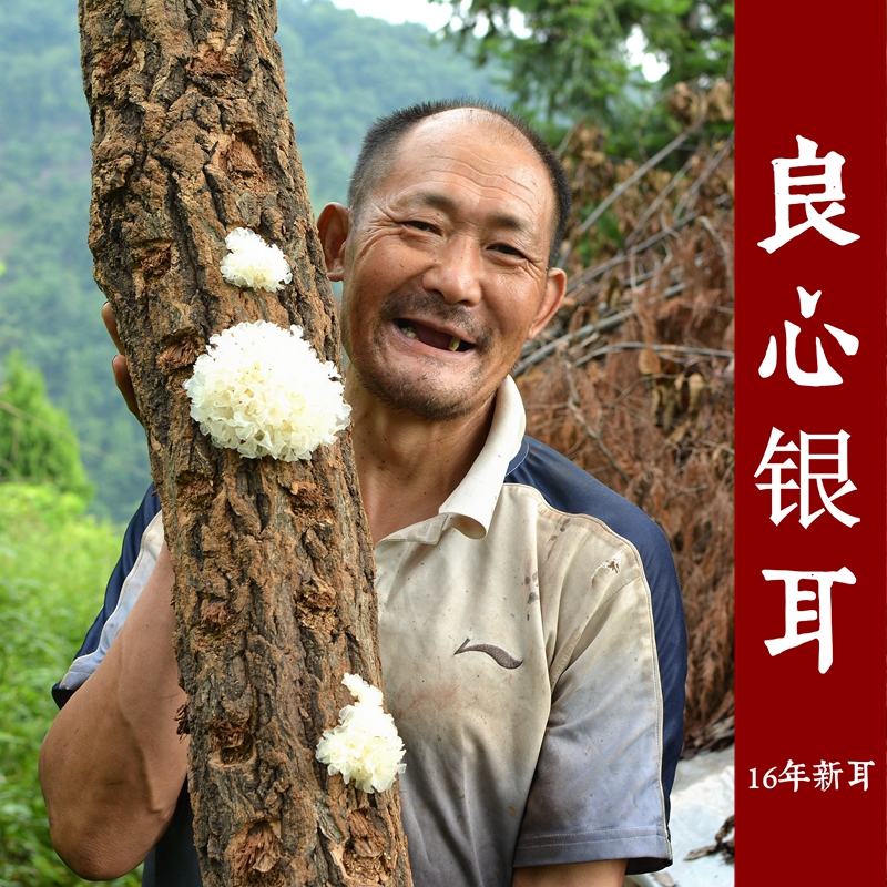 银耳 雪耳白木耳通江野生无硫椴木银耳非福建古田银耳！100克/袋
