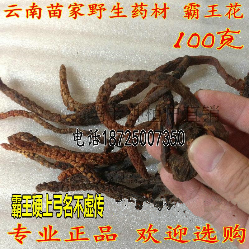 霸王花 云南苗家中草药 滋补野生中药材肾虚 泡酒料药酒料虎鞭草