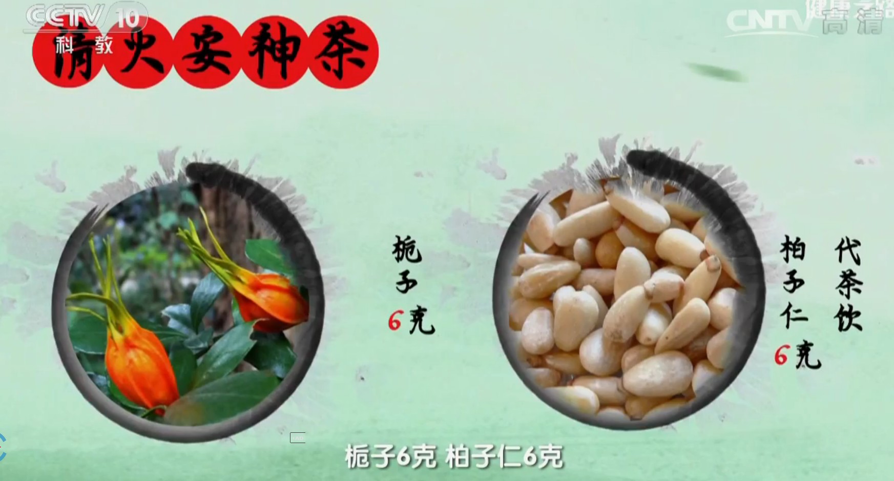 清火安神茶 栀子6克 柏子仁6克 健康之路推荐 20付量包邮