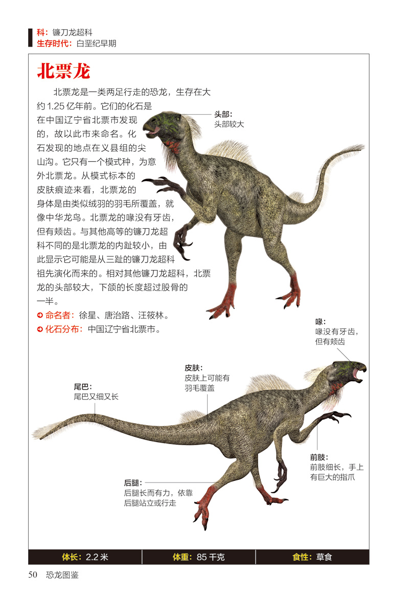 恐龙图鉴:154种恐恐龙图鉴(154种恐龙的特征与习性)/图鉴珍藏丛书