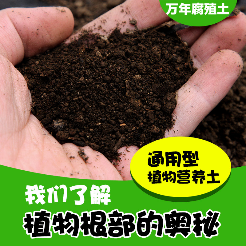 营养土腐殖土种植土壤泥炭土黑土花土多肉土种植养花种5斤包邮土