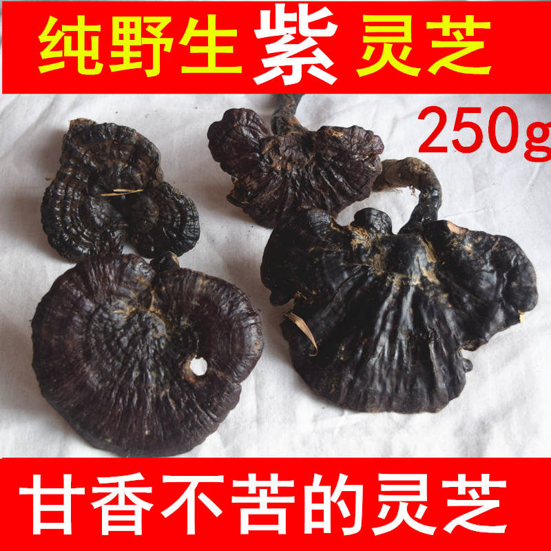 来自神农架还有野生赤灵芝整枝正品林芝纯天然野生紫灵芝特级正品